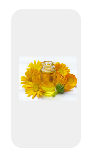 Antiviral Essential OilsPractical Aromatherapy