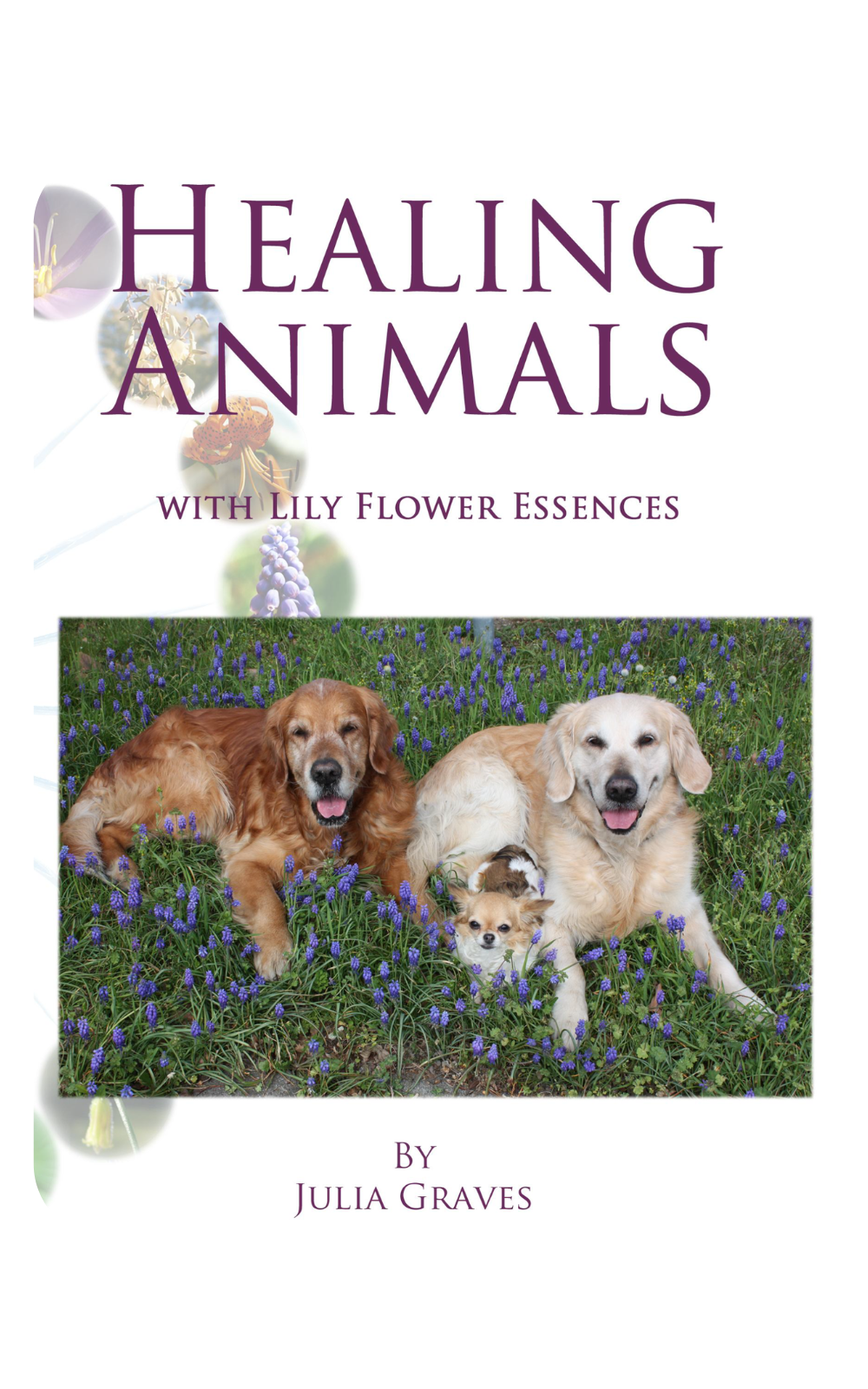 healing-animals-with-lily-flower-essences-by-julia-graves-juliagraves